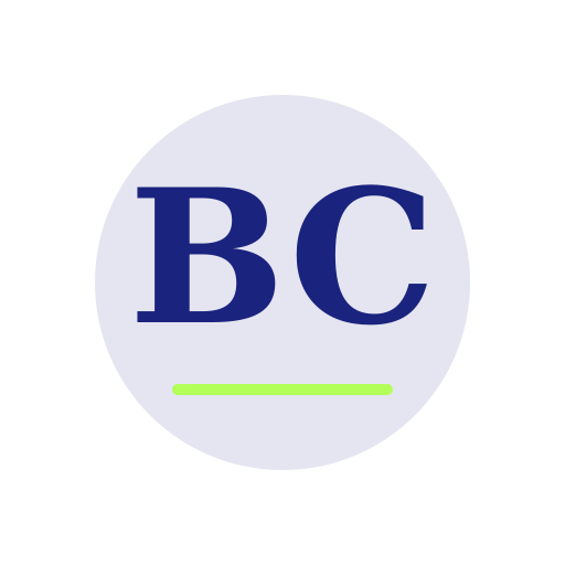 Belli Chimney Services logo